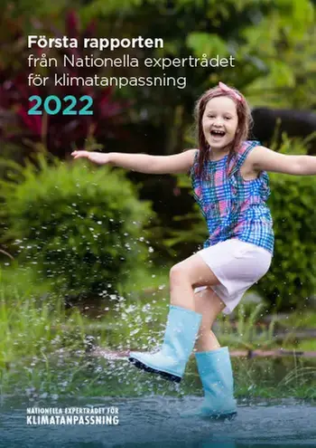 Framsidan av Expertrådets första rapport.