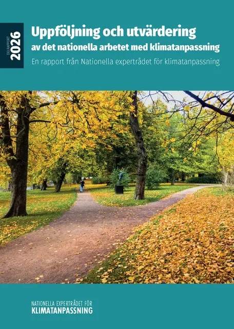 Framsidan av rapporten föreställer en väg genom en park.