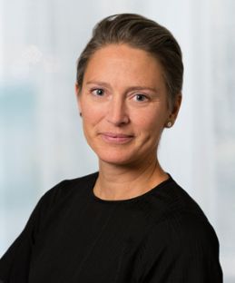 Karin Ljung Björklund, Nationella expertrådet för klimatanpassning